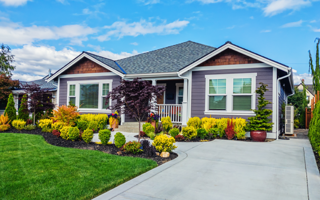 Outdoor Renovation